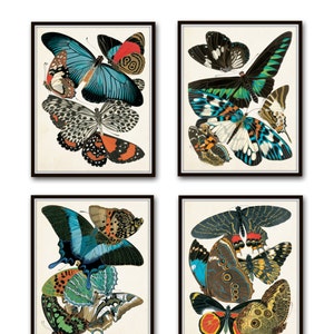 Butterfly Print Set, Seguy Butterfly Prints, Art Nouveau,Butterflies, Giclee, Print Sets, Wall Art, Illustration, Collage, Art Deco