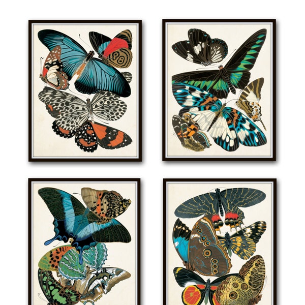 Butterfly Print Set, Seguy Butterfly Prints, Art Nouveau,Butterflies, Giclee, Print Sets, Wall Art, Illustration, Collage, Art Deco