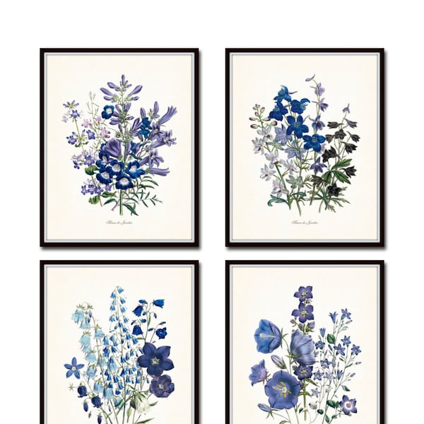 Fleurs de Jardin Print Set No. 13, Botanical Print, Giclee, Art Print, Antique Botanical Prints, Blue Flower Prints, Purple Flowers, Prints