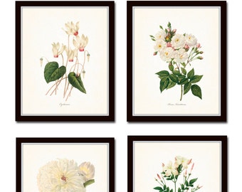 French White Botanical Print Set No. 2, Giclee, Wall Art, Antique Botanical Prints, Home Decor, Prints, Rose, Peony, White Flower Prints