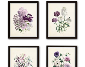 Les Fleurs Botanical Print Set No. 8, Botanical Prints, Giclee, Wall Art, Antique Botanical Prints, Flower Prints, Cottage Style, Wildflower