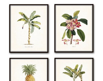 Tropical Botanical Print Set, Giclee, Art Prints, Wall Art, Beach Decor, Palm Tree Print, Pineapple Print, Coastal Art, Vintage Botanical