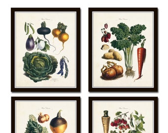 French Vegetable Print Set, Wall Art, Illustration, Botanical Prints, Art Print, Wall Art, French Style Decor,Kitchen Art, Vegetables