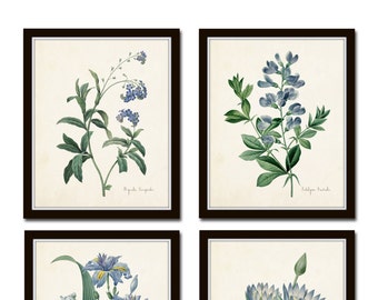 Botanical Print Set, Redoute Botanical Prints, Home Decor Art Prints, Giclee, Blue Botanical Prints, Coastal Decor, Blue Flower Prints