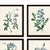 Sioma Floral Blue Print