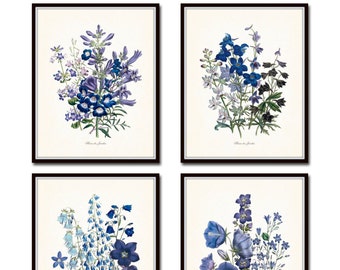 Fleurs de Jardin Print Set No. 13, Botanical Print, Giclee, Art Print, Antique Botanical Prints, Blue Flower Prints, Purple Flowers, Prints