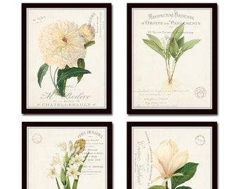 French Botanical Collage Print Set No. 3, Botanical, Print Set, Wall Art, Giclee, White Flower Art, Vintage Botanical, Antique Botanical Art