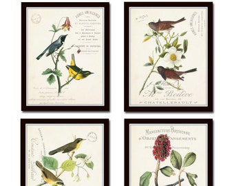 French Aviary Collage Print Set No. 3, Botanical Prints, Home Decor, Wall Art, Giclee, Vintage Bird Prints, Bird Art, French Decor Art