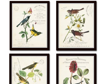 Audubon Bird Prints, French Aviary Collage Print Set No. 3, Botanical Prints, Print Set, Wall Art, Giclee, Vintage Bird Prints, French Style