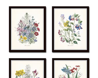 Fleurs de Jardin Print Set No. 16, Botanical, Print Set, Wall Art, Giclee, Art Print, Vintage Botanicals, Wildflower Print, Flower Prints