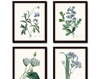 Blue Botanical Print Set No. 10, Redoute Botanical Prints, Art Giclee Botanical Prints, Blue Flower Prints,Collage, Illustration, Flowers