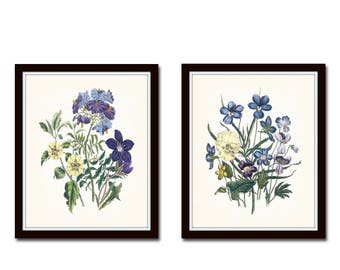 Garden Flowers Print Set No.21, Botanical Prints, Giclee, Art Prints, Antique Botanical Art, Botanical Print Set, Vintage Botanical Art