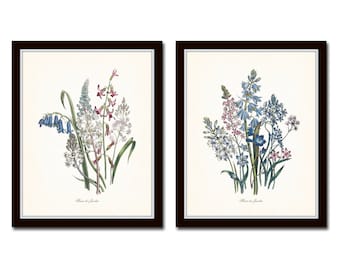 Fleurs de Jardin Print Set No. 2, Botanical, Print Set, Wall Art,  Giclee, Art, Botanical Prints, Flower Prints, Collage, Illustration