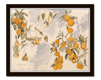 Lemons and Oranges Print, Lemon Print, Citrus Print, Art Print, Botanical Print, Botanical Art, Wall Art, Lemon, Orange, Giclee