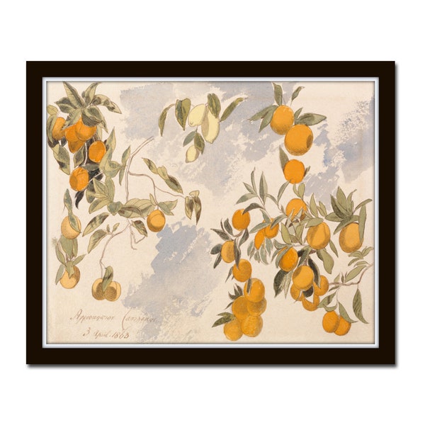 Lemons and Oranges Print, Lemon Print, Citrus Print, Art Print, Botanical Print, Botanical Art, Wall Art, Lemon, Orange, Giclee