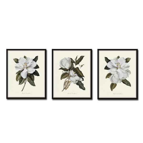 Botanical Prints Etsy