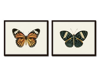 Vintage Butterfly Print Set No. 5, Botanical Prints, Insect Art, Art Prints, Wall Art, Print Set, Butterfly Prints, Insect Prints