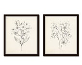 Vintage Botanical Sketch Prints No.3, Botanical Print Set, Botanical Prints, Giclee,Wall Art, Botanical Print Sets, Botanical Print