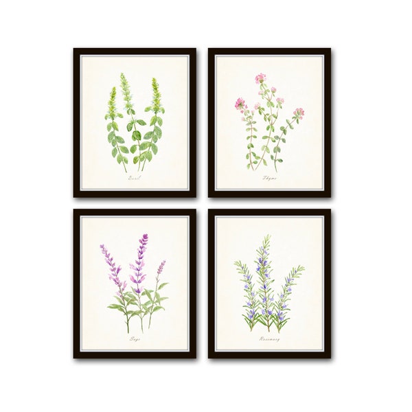 Watercolor Flowering Herbs Print Set No. 3, Botanical Prints, Giclee, Herb Prints, Kitchen Art, Botanical Print Set, Wall Art Watercolor Art