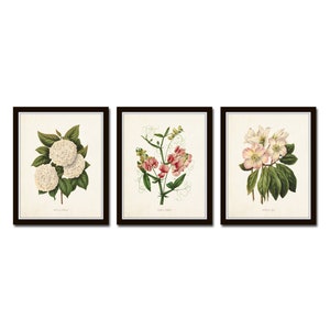 Botanical Garden No. 2, Vintage Botanical Prints, Antique Botanical Art, Giclee, Art Prints, Wall Art, Farmhouse Art, Grandmillennial Art