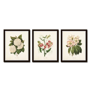 Botanical Garden No. 2, Print Set, Botanical Prints, Botanical Art, Giclee, Art Prints, Wall Art, Farmhouse Art, Vintage Botanical Prints