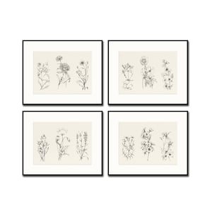 Vintage Botanical Sketch Print Set No. 14, Botanical Sketch Prints, Botanical Prints, Botanical Sketch Art, Giclee, Home Decor, Wall Art