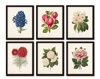 Botanical Garden Print Set No. 28, Botanical Art, Botanical Prints, Giclee, Wall Art, Art Prints, Wall Decor, Hydrangea, Magnolia, Peony