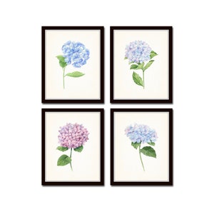 Hydrangea Print Set, Botanical Prints, Watercolor Botanical Prints, Art Print, Hydrangea Prints, Wall Art, Flower Art