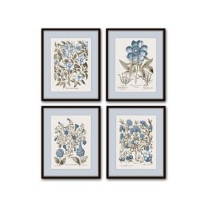 Vintage Sepia and Blue Botanical Print Set No. 3, Botanical Art, Vintage Botanical Prints, Wall Art, Collage Art, Home Decor image 1