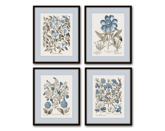 Vintage Sepia and Blue Botanical Print Set No. 3, Botanical Art, Vintage Botanical Prints, Wall Art, Collage Art, Home Decor