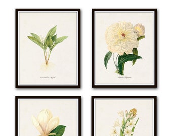 Botanical Prints, White Botanical Prints, Set No. 1, Antique Botanical Print, Giclee, Art Print, Vintage Botanical, White Flower Prints