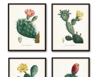 French Cactus Botanical Print Set No. 1, Giclee, Art Prints, Antique Botanical Prints, Wall Art, Prints, Cactus Prints, Desert Art, Flowers