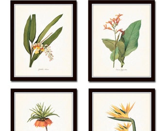 May include: Set of four botanical prints featuring illustrations of flowers in black frames. The prints feature a yellow ginger flower, an orange canna lily, a red fritillaria flower, and a yellow bird of paradise flower.