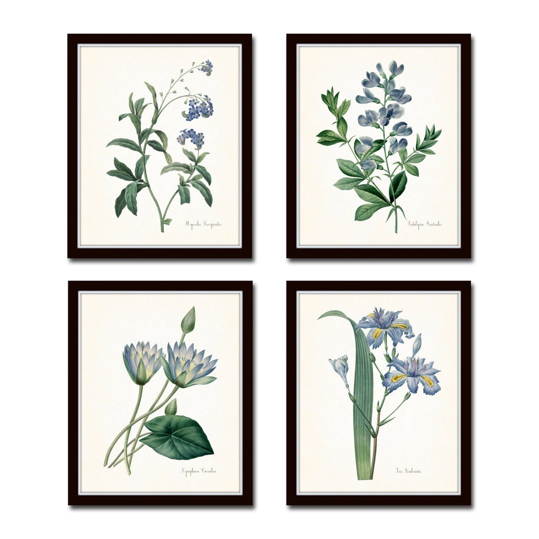 Blue Botanical Print Set No. 10, French Botanical Prints, Wall Art ...