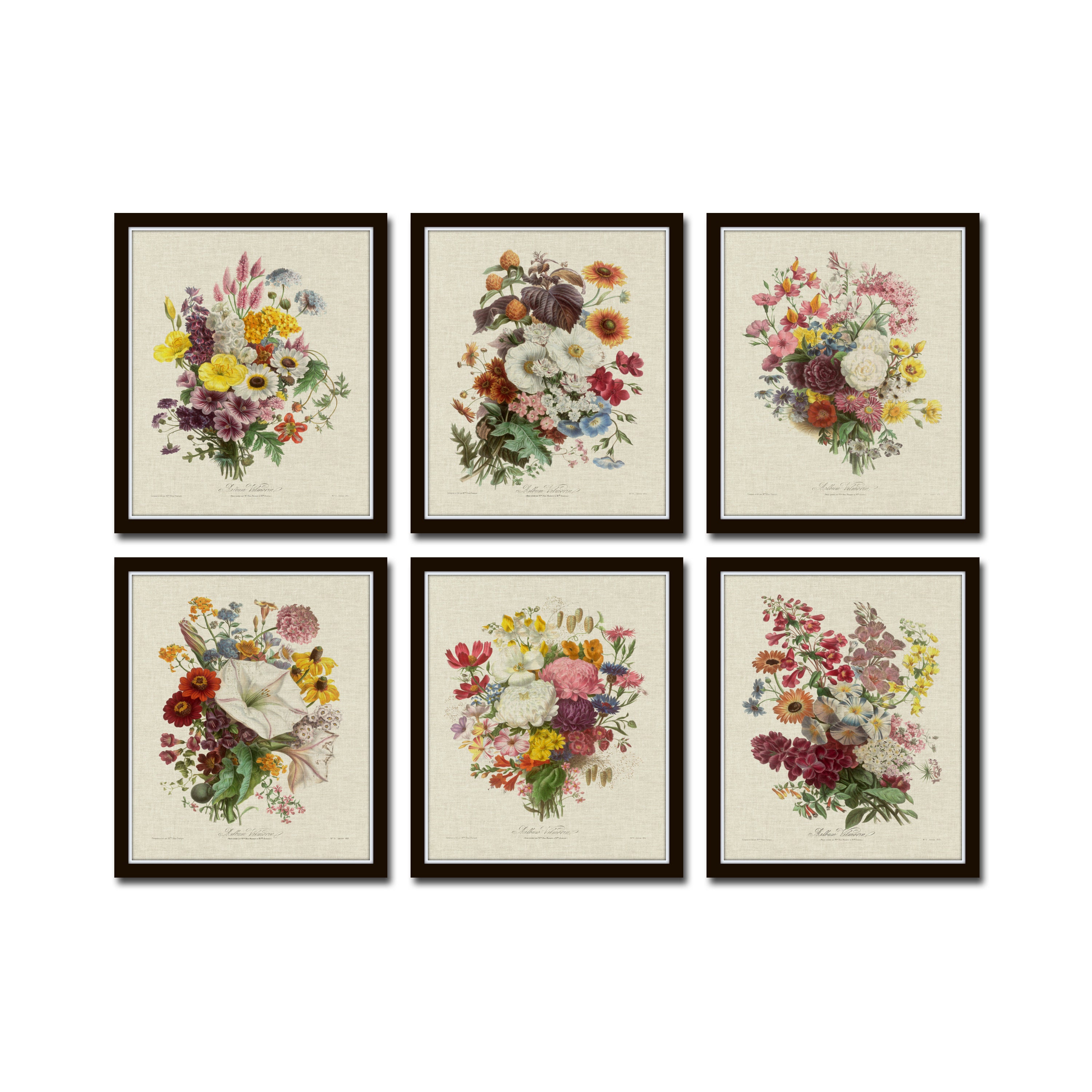 French Botanical Collage Print Set No. 6, Vintage Botanical Prints ...