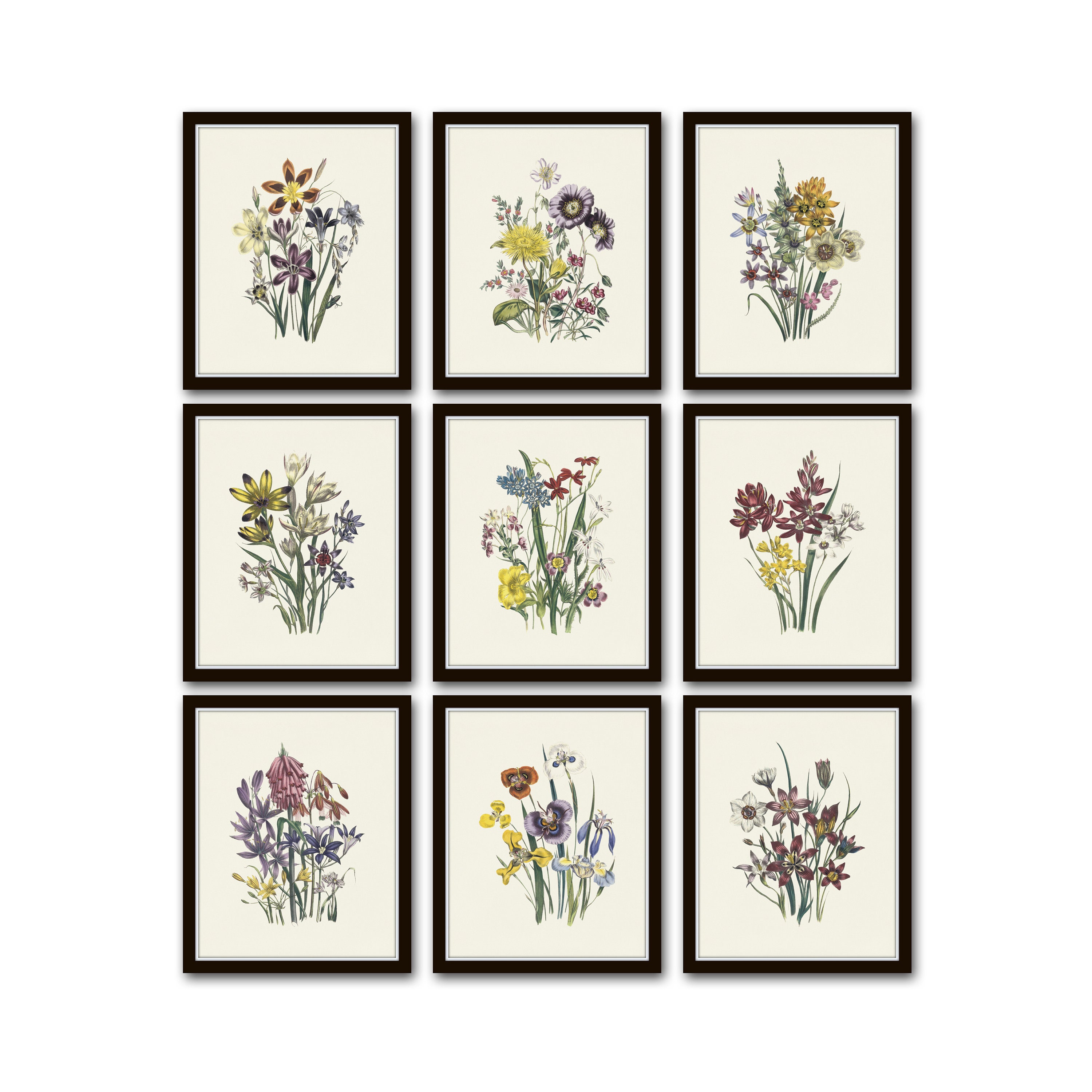 Botanical Print Set No. 25 Wildflower Prints Botanical | Etsy