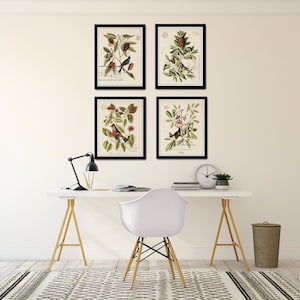 Vintage Bird and Botanical Print Set No.1, Giclee, Home Decor, Wall Art ...