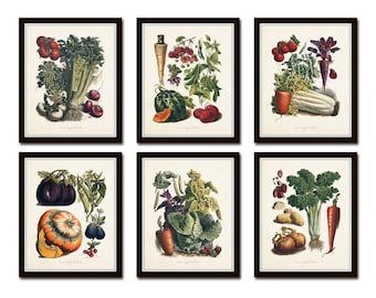 May include: A set of six vintage botanical illustrations featuring various vegetables, including celery, tomatoes, radishes, eggplant, carrots, and potatoes. The illustrations are in a watercolor style and are framed in black.
