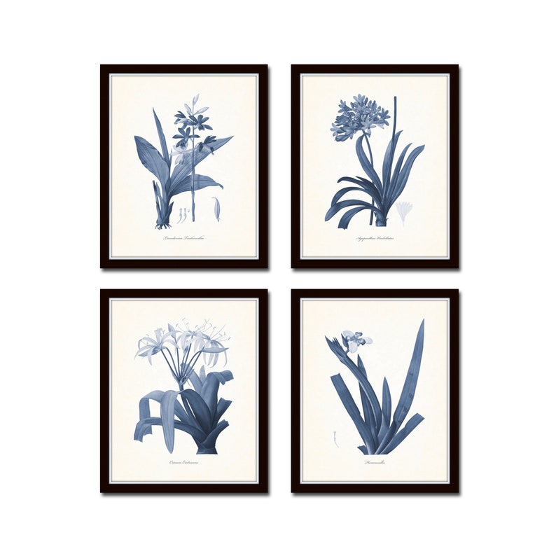 Blue Botanical Print Set No.18 Redoute Botanical Prints Art | Etsy