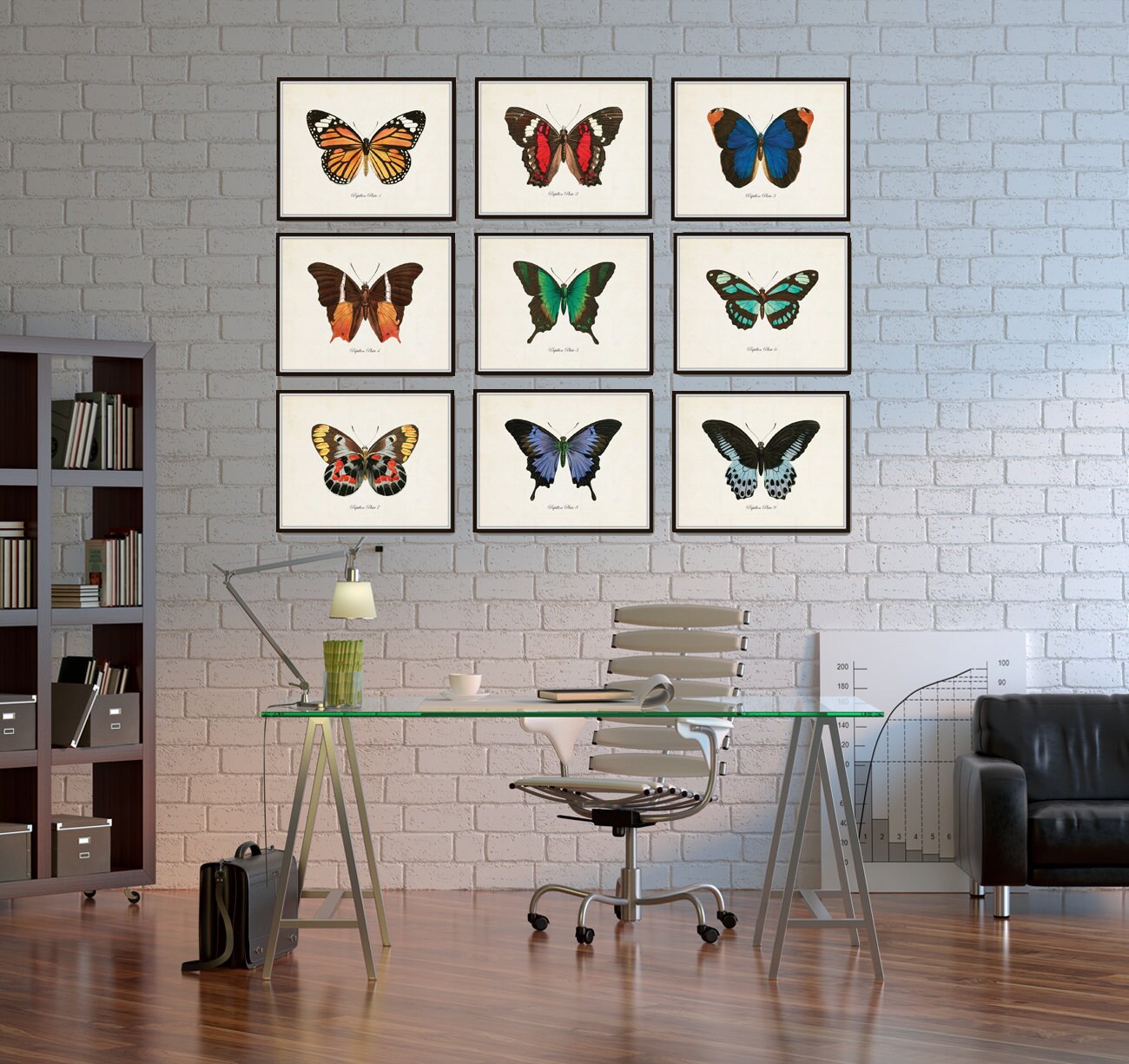 Papillon Butterfly Print Set No.12, Vintage Butterfly Prints