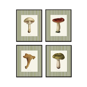Striped Vintage Mushrooms Print Set of 4, Vintage Botanical Prints, Kitchen Art, Home Decor, Wall Art, Grandmillennial, Gift for Cooks