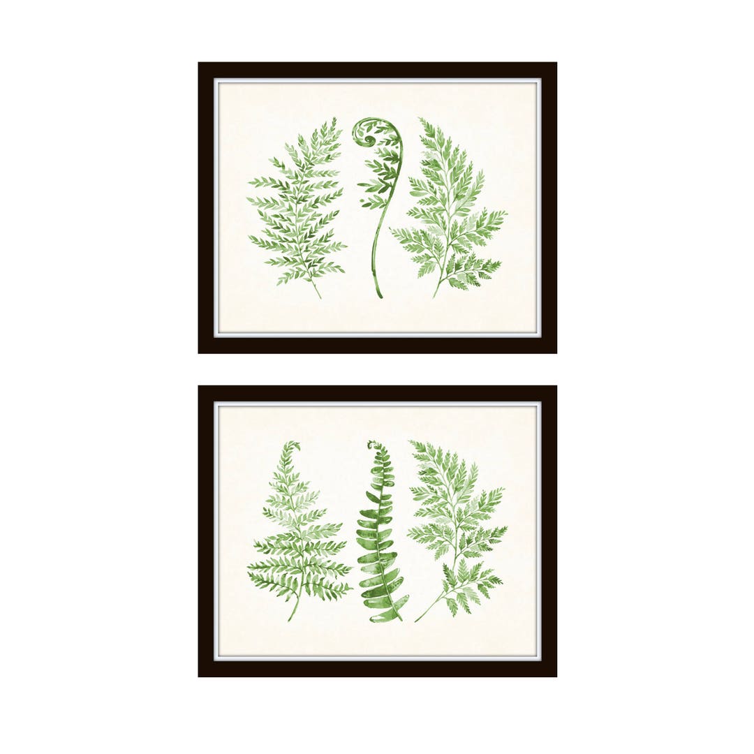 Watercolor Ferns Print Set No. 5 Botanical Prints Botanical - Etsy