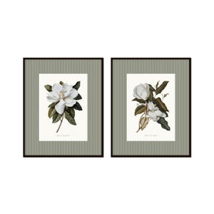 Vintage Magnolia Collage Print Set , Vintage Botanical Prints, Wall Art, Home Decor, Antique Botanical Prints, Southern Art, Magnolia Prints