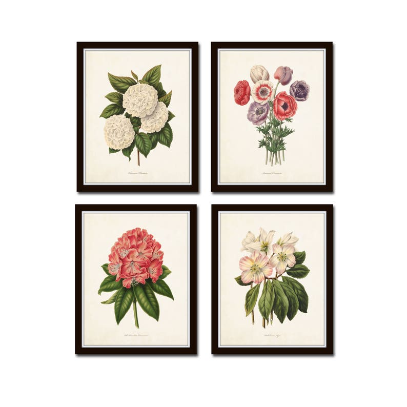 Botanical Garden Print Set No. 19 Botanical Print Set Etsy