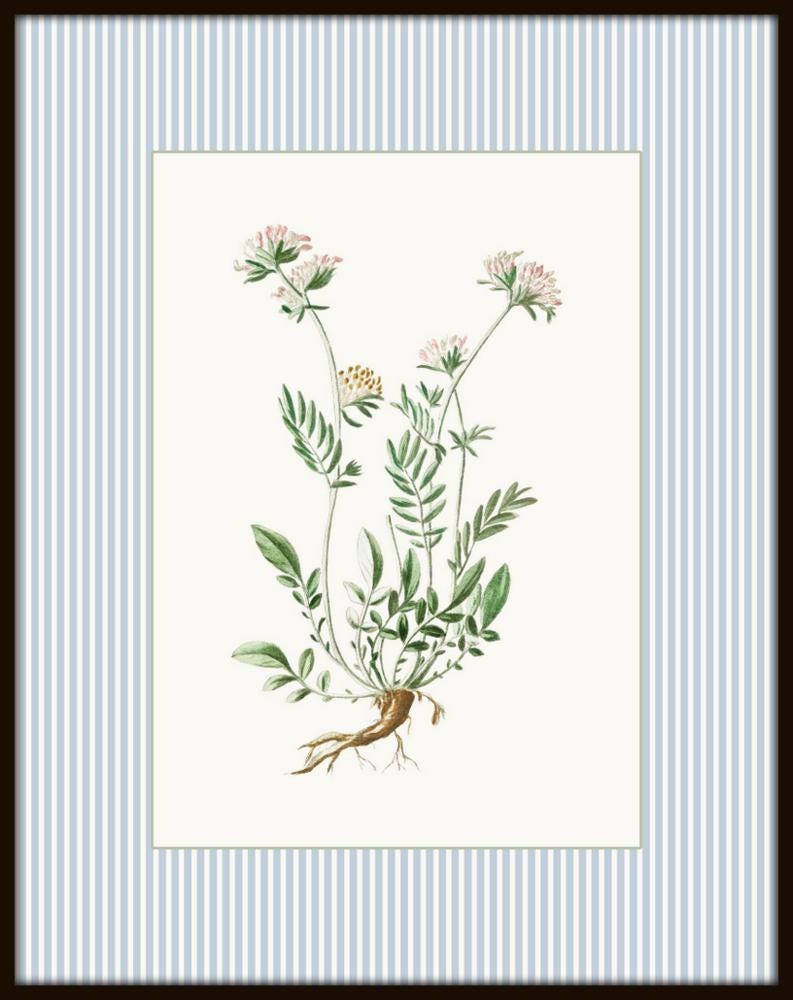 Antique Botanical Collage Print Set, Italian Botanical Art, Home Decor ...