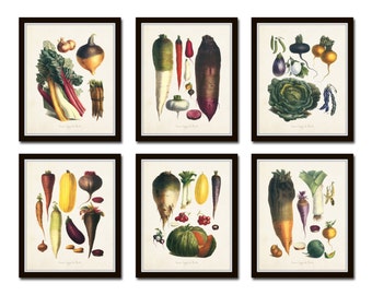 May include: Set of six vintage botanical prints featuring various root vegetables, including turnips, radishes, carrots, beets, and onions. The prints are in a muted color palette with a white background and black frames.