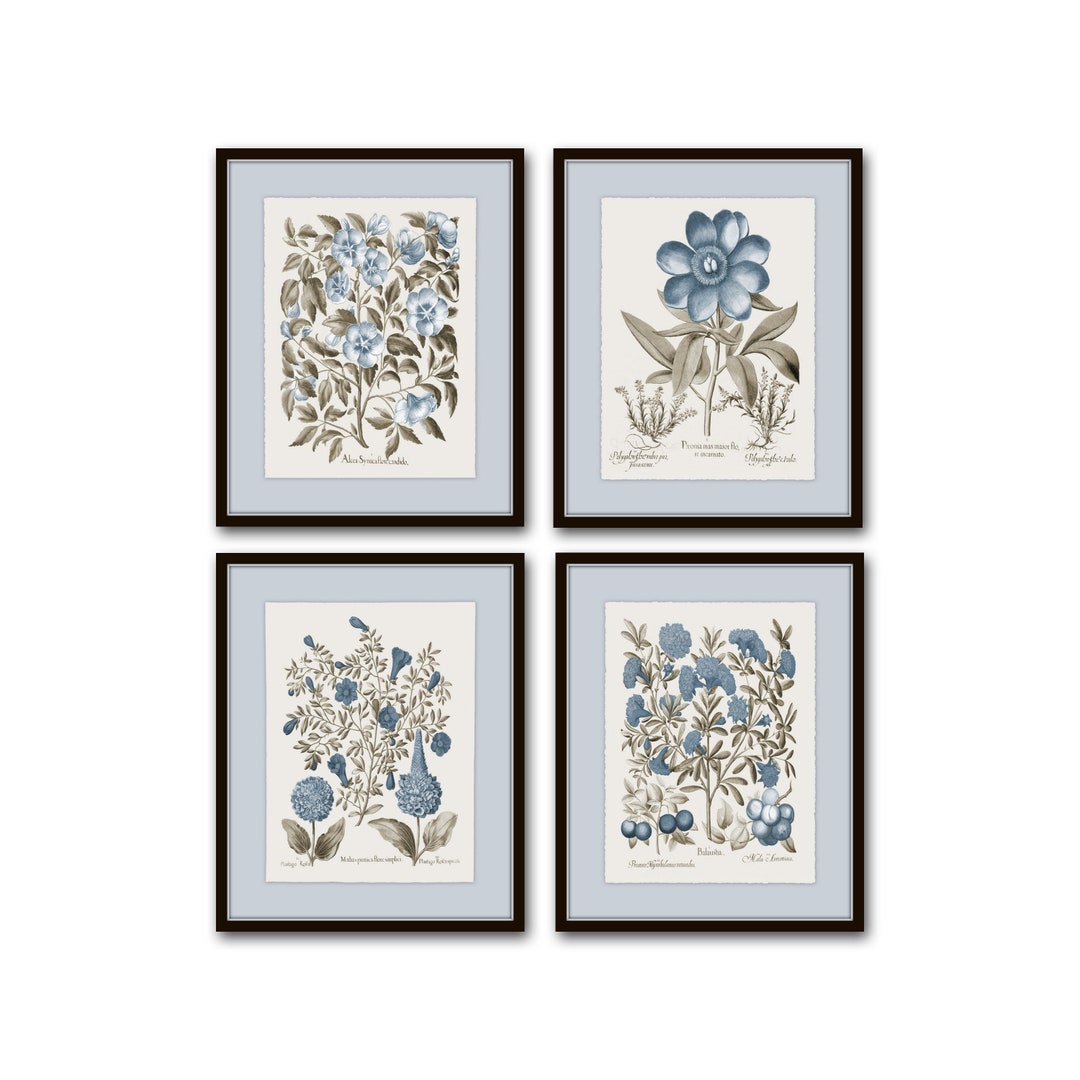 Vintage Sepia and Blue Botanical Print Set No. 3, Botanical Art, Vintage Botanical Prints, Wall Art, Collage Art, Home Decor