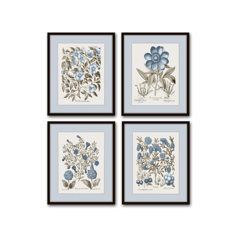 Vintage Sepia and Blue Botanical Print Set No. 3, Botanical Art, Vintage Botanical Prints, Wall Art, Collage Art, Home Decor image 1