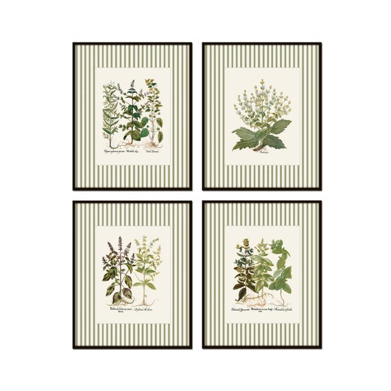 Green Striped Antique Herbs Print Set, Herb Prints, Kitchen Art, Cottage Art, English Cottage Art, Striped Border Art, Home Decor, Wall Art