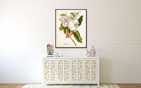 MagnoliaNo.927☆No.928☆No.930 Magnolia Print No. 1, Botanical Print, Giclee, White Botanical Art